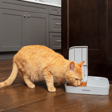 Lade das Bild in den Galerie-Viewer, PetSafe Futterautomat für 2 Mahlzeiten – Haustiersicheres Design – Für trockenes Hunde- und Katzenfutter
