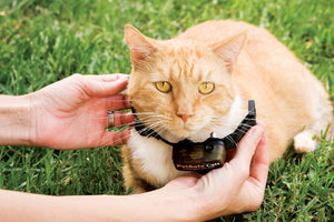 Zusätzliches Empfängerhalsband für unterirdisches Deluxe-Rückhaltesystem mit Draht für Katzen In-Ground Cat Fence™